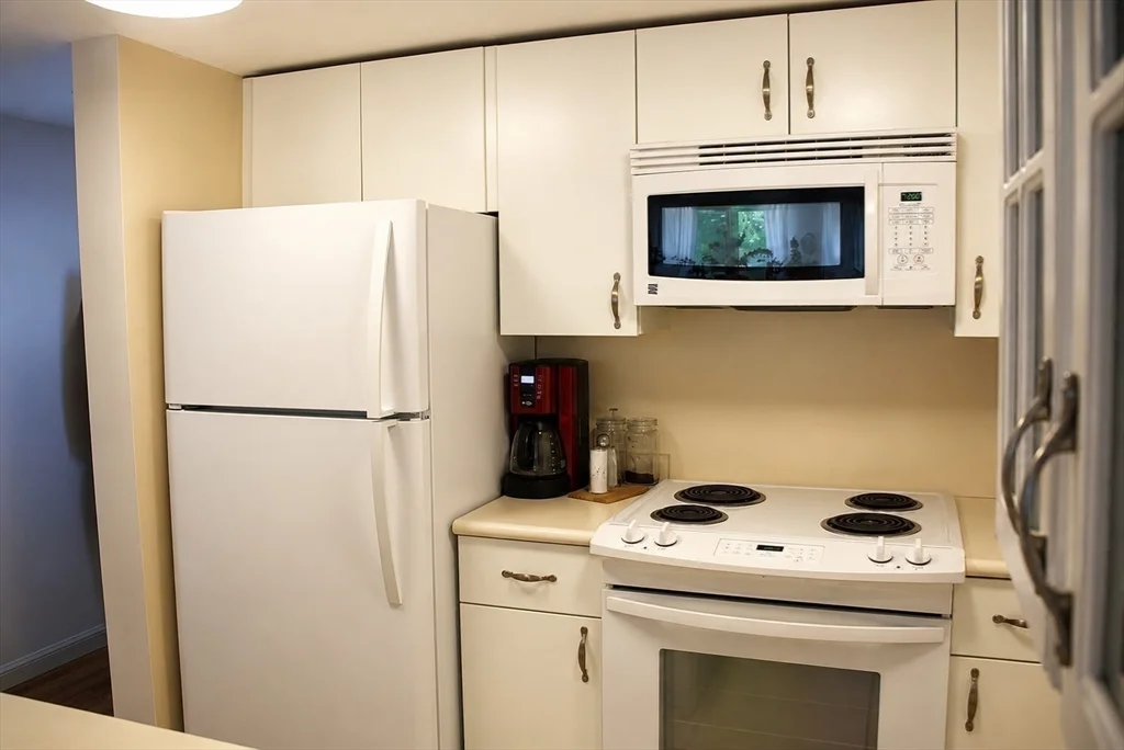 2 bed, 2 bath apartment for rent at 20 Webster St Unit 211, Coolidge Corner — photo 5 of 8