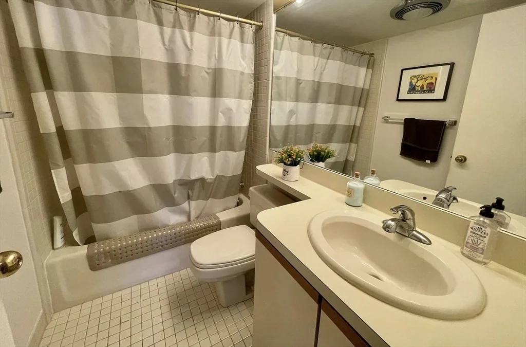 2 bed, 2 bath apartment for rent at 20 Webster St Unit 409, Coolidge Corner — photo 8 of 15