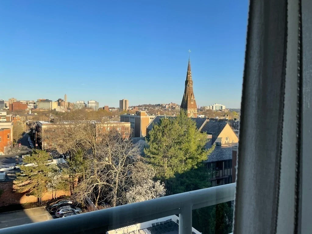 2 bed, 2 bath apartment for rent at 20 Webster St Unit 702, Coolidge Corner — photo 7 of 40