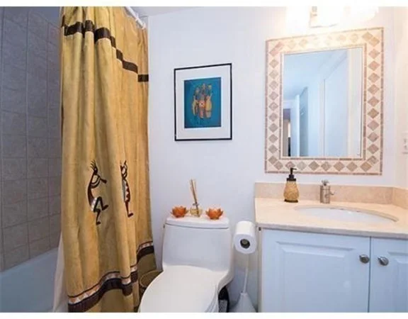 1 bed, 1 bath apartment for rent at 20 Webster Unit 305, Coolidge Corner — photo 10 of 13