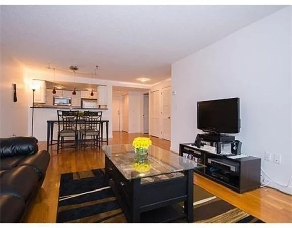 1 bed, 1 bath apartment for rent at 20 Webster Unit 305, Coolidge Corner — photo 3 of 13