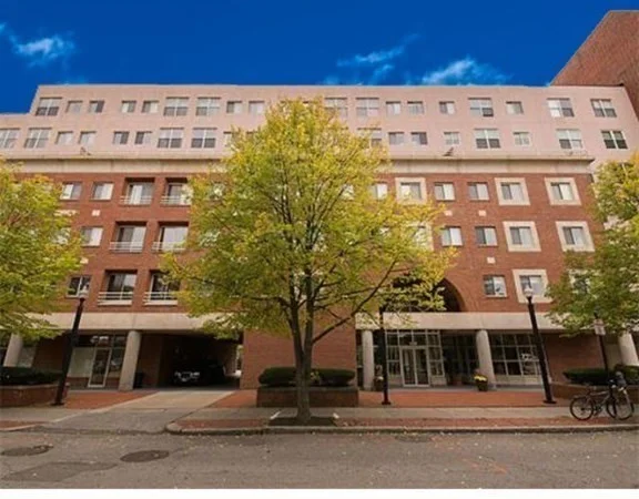 1 bed, 1 bath apartment for rent at 20 Webster Unit 305, Coolidge Corner — photo 1 of 13