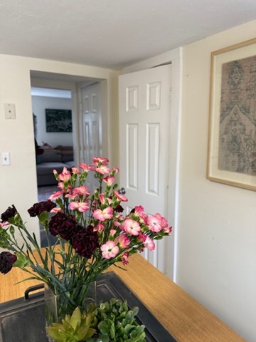 1 bed, 1 bath apartment for rent at 20 West Unit 3, Ayer — photo 5 of 10