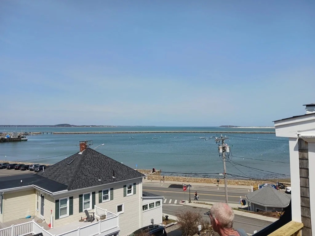 1 bed, 1 bath apartment for rent at 20 Winslow St Unit 7, Plymouth — photo 3 of 5