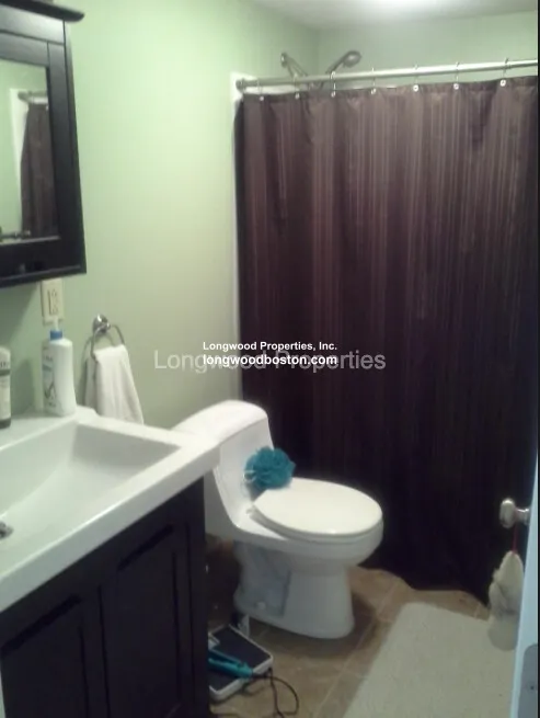 1 bed, 1 bath apartment for rent at 200 Northampton St Unit 1, Roxbury — photo 6 of 9