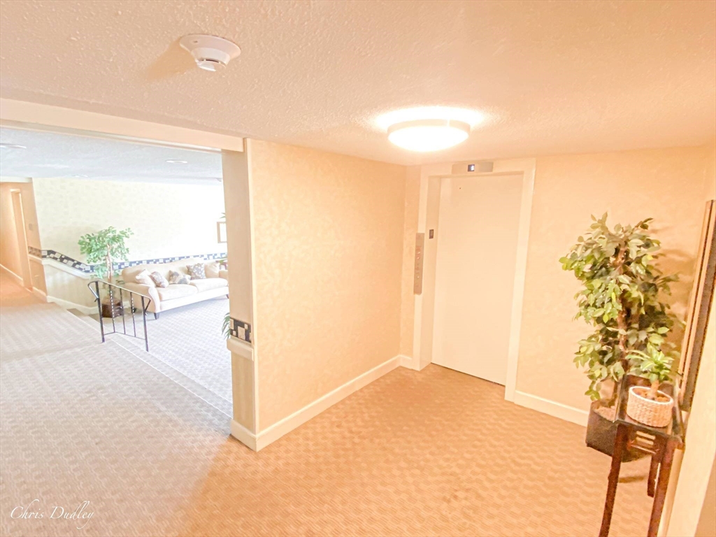 2 bed, 1 bath apartment for rent at 200 Park Terrace Dr Unit 226, Stoneham — photo 7 of 23