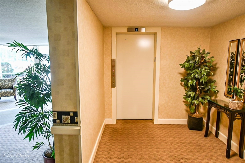 2 bed, 1 bath apartment for rent at 200 Park Terrace Dr Unit 226, Stoneham — photo 9 of 23