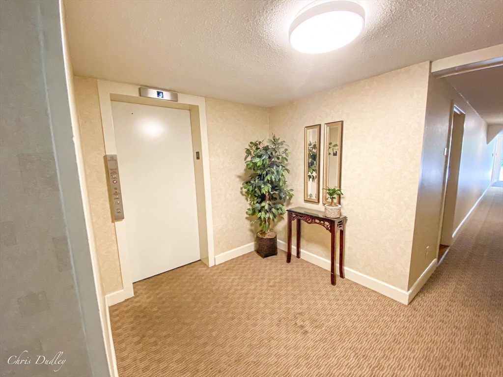 2 bed, 1 bath apartment for rent at 200 Park Terrace Dr Unit 226, Stoneham — photo 8 of 23