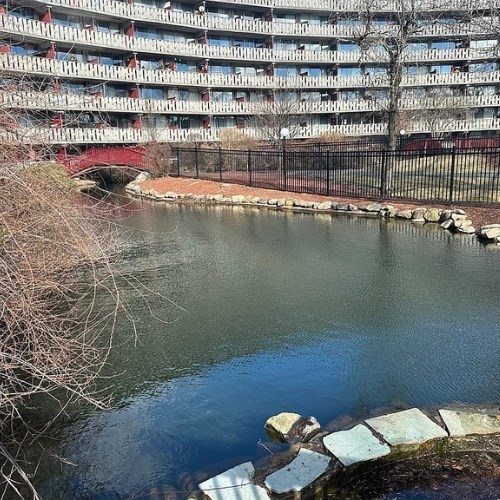 1 bed, 1 bath apartment for rent at 200 Swanton St Unit 226, Winchester — photo 12 of 18