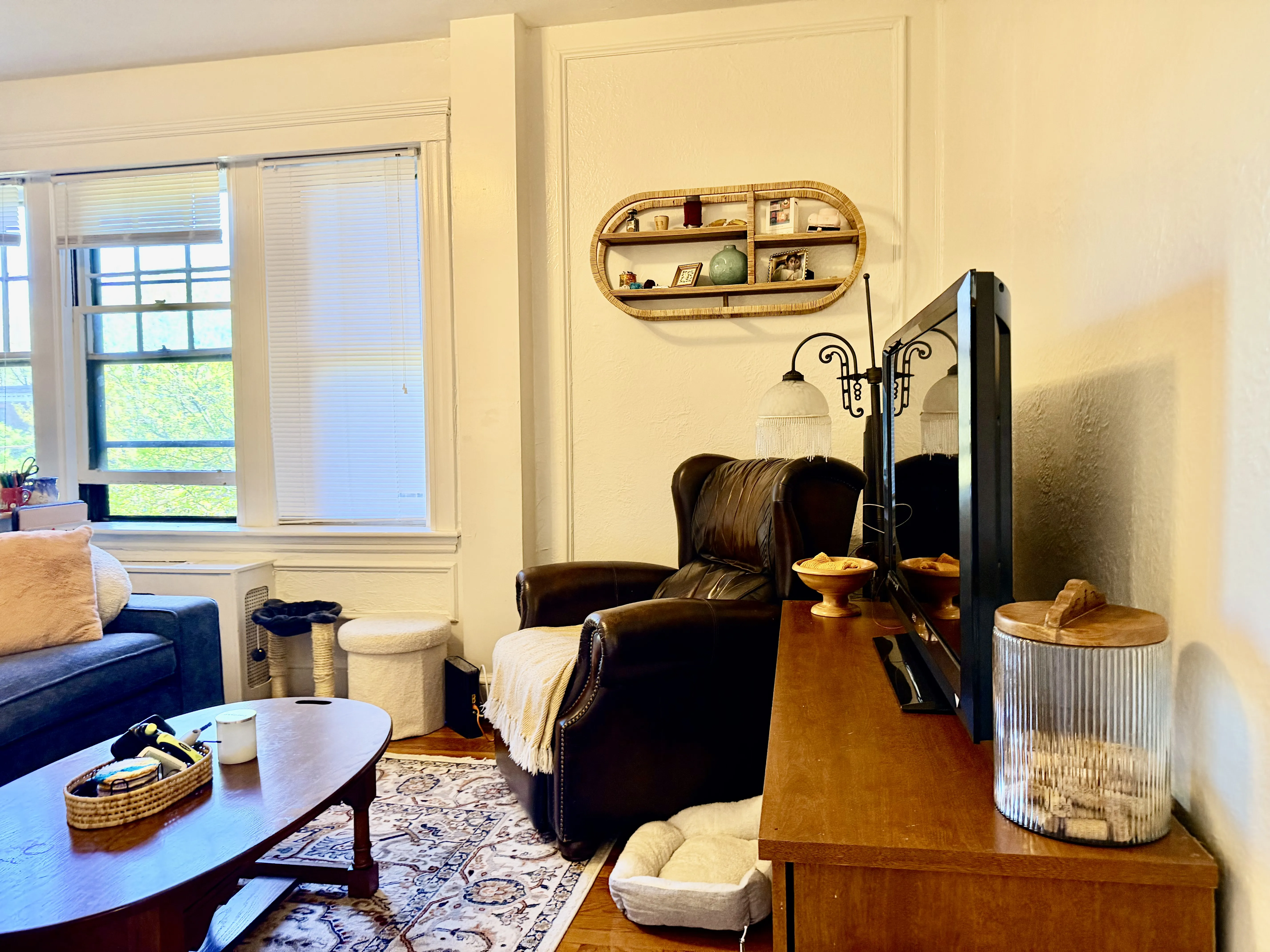 1 bed, 1 bath apartment for rent at 2003 Commonwealth Ave Unit 18, Brighton — photo 8 of 11