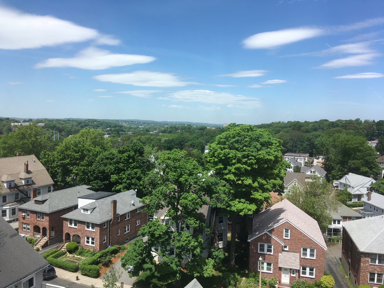 1 bed, 1 bath apartment for rent at 2003 Commonwealth Ave Unit 29, Brighton — photo 3 of 14