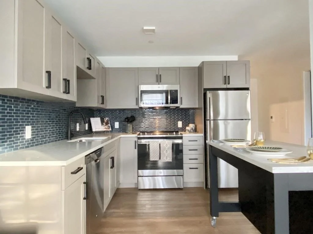 1 bed, 1 bath apartment for rent at 201 S Huntington Ave Unit 201-501, Jamaica Plain — photo 3 of 12