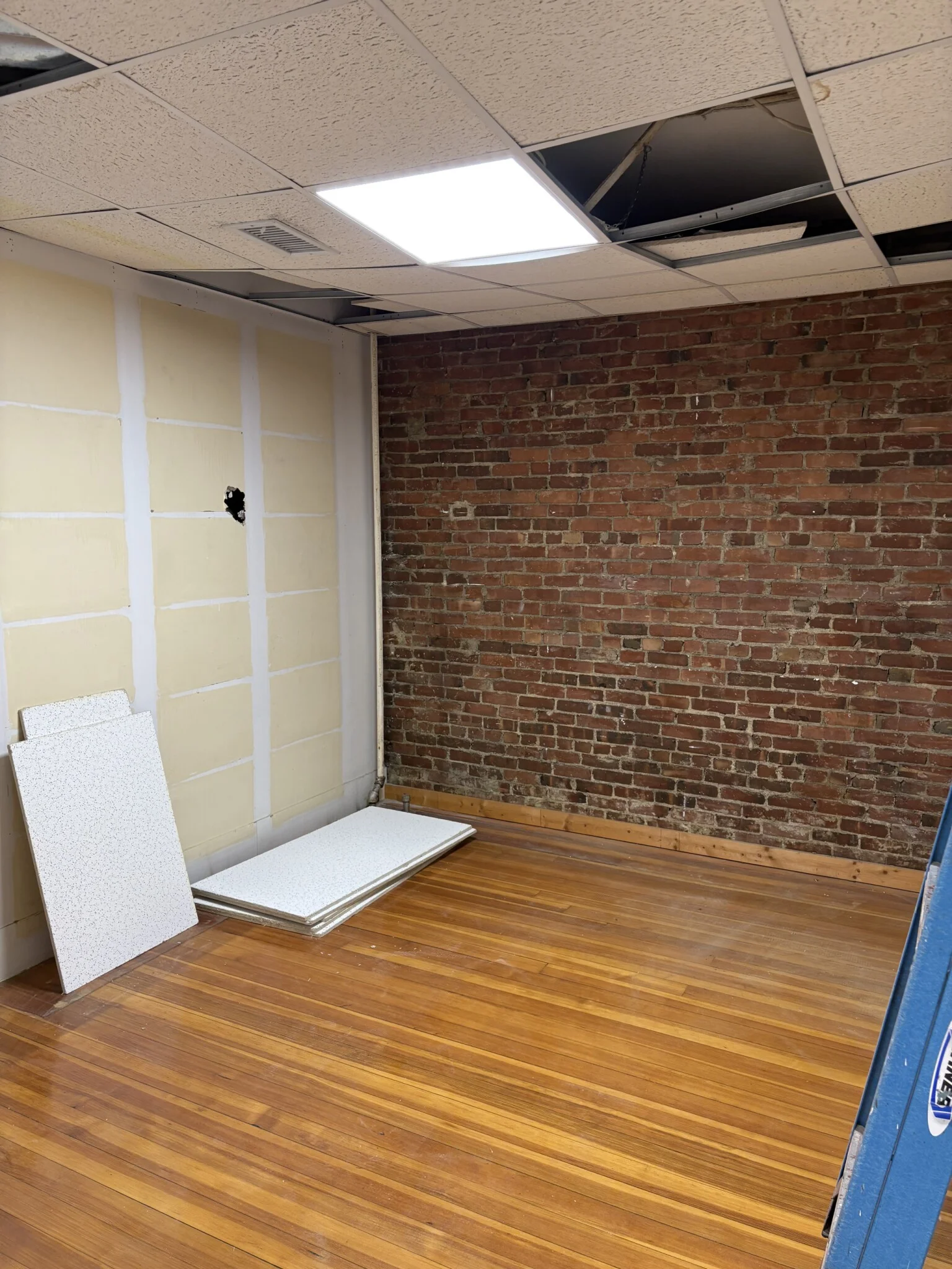 4 bed, 2 bath apartment for rent at 2020 Massachusetts Ave Unit 1, North Cambridge — photo 2 of 9