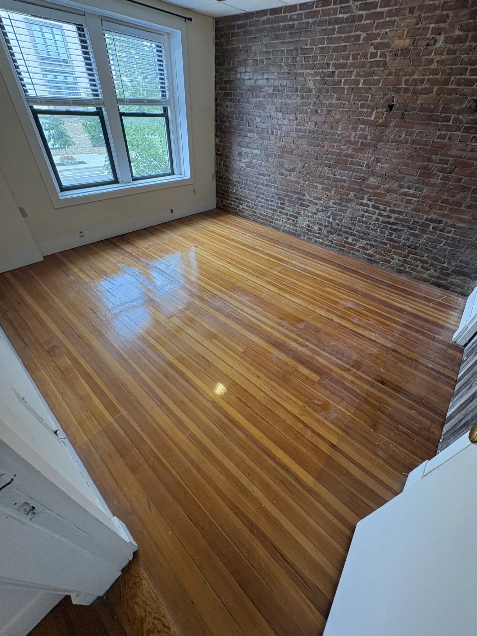 4 bed, 2 bath apartment for rent at 2024 Massachusetts Ave Unit 1, North Cambridge — photo 3 of 15