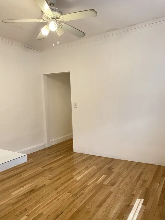 2 bed, 1 bath apartment for rent at 2030 Commonwealth Ave Unit 2, Brighton — photo 2 of 8