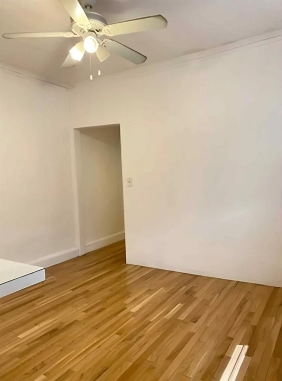 2 bed, 1 bath apartment for rent at 2031 Commonwealth Ave Unit 2, Brighton — photo 5 of 8