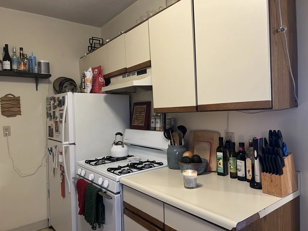 1 bed, 1 bath apartment for rent at 2039 Commonwealth Ave Unit 8, Brighton — photo 22 of 37