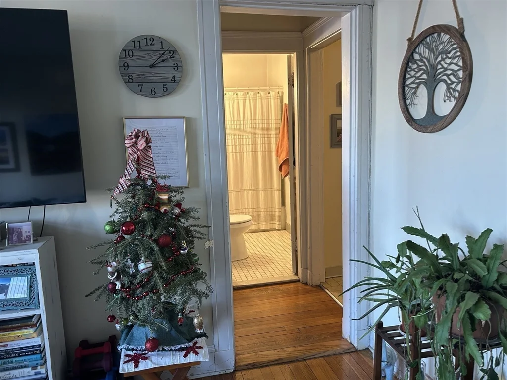 1 bed, 1 bath apartment for rent at 2039 Commonwealth Ave Unit 8, Brighton — photo 10 of 37