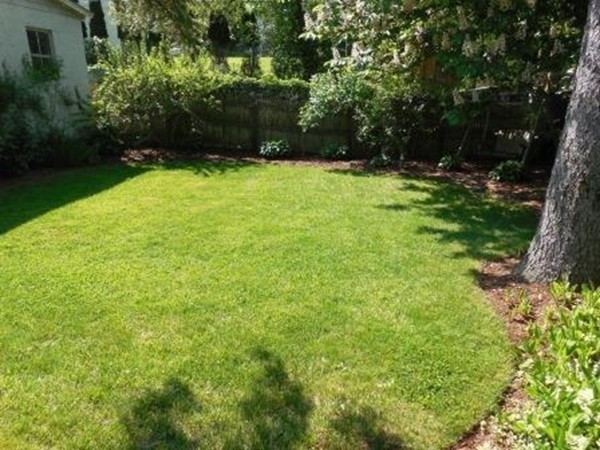 2 bed, 1 bath apartment for rent at 204 Massasoit Rd, Worcester — photo 28 of 30