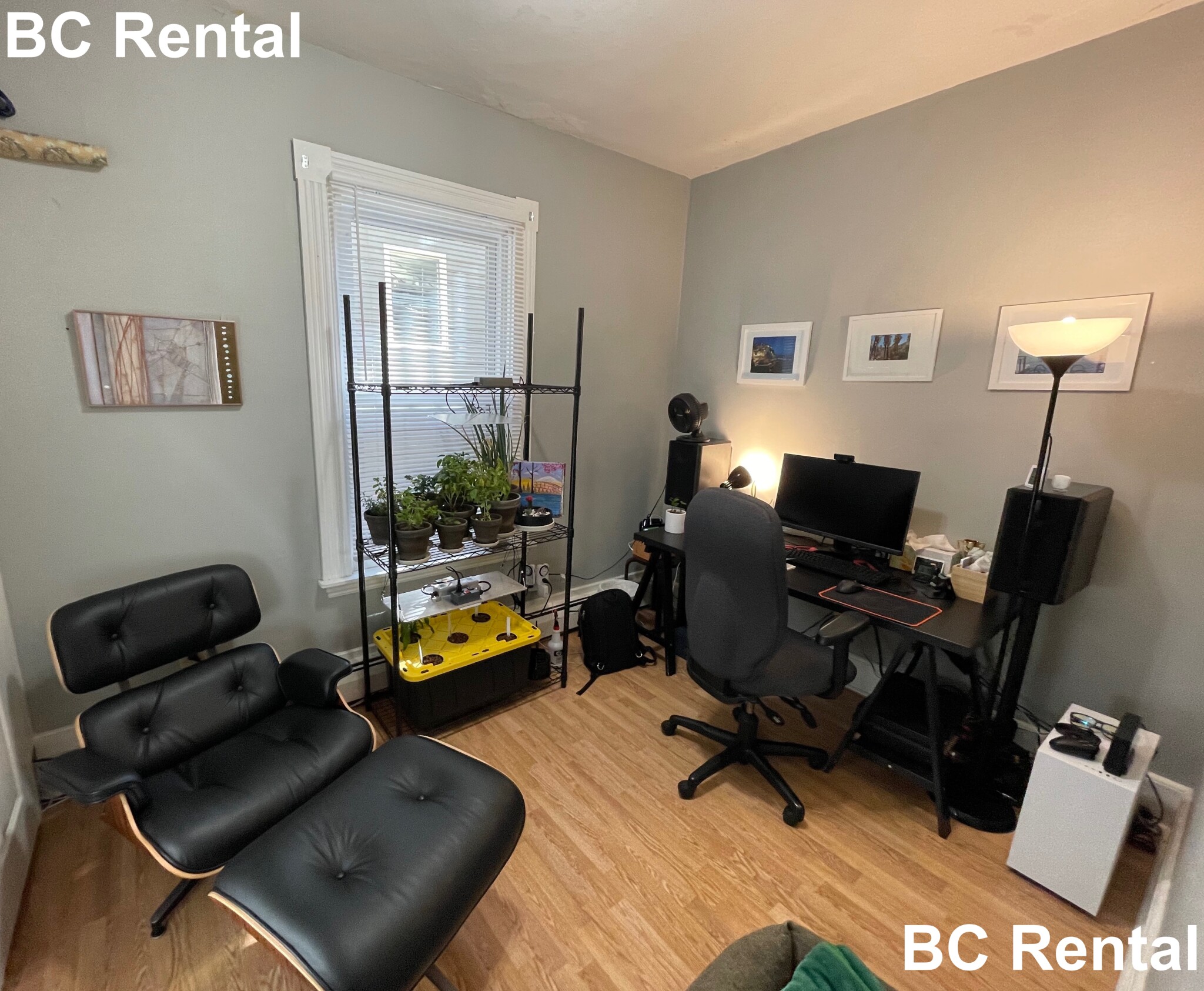 2 bed, 1 bath apartment for rent at 204 River St Unit 1, Cambridgeport — photo 5 of 8