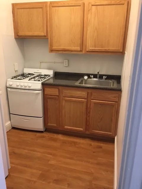 Studio bed, 1 bath apartment for rent at 2045 Commonwealth Ave Unit 1, Brighton