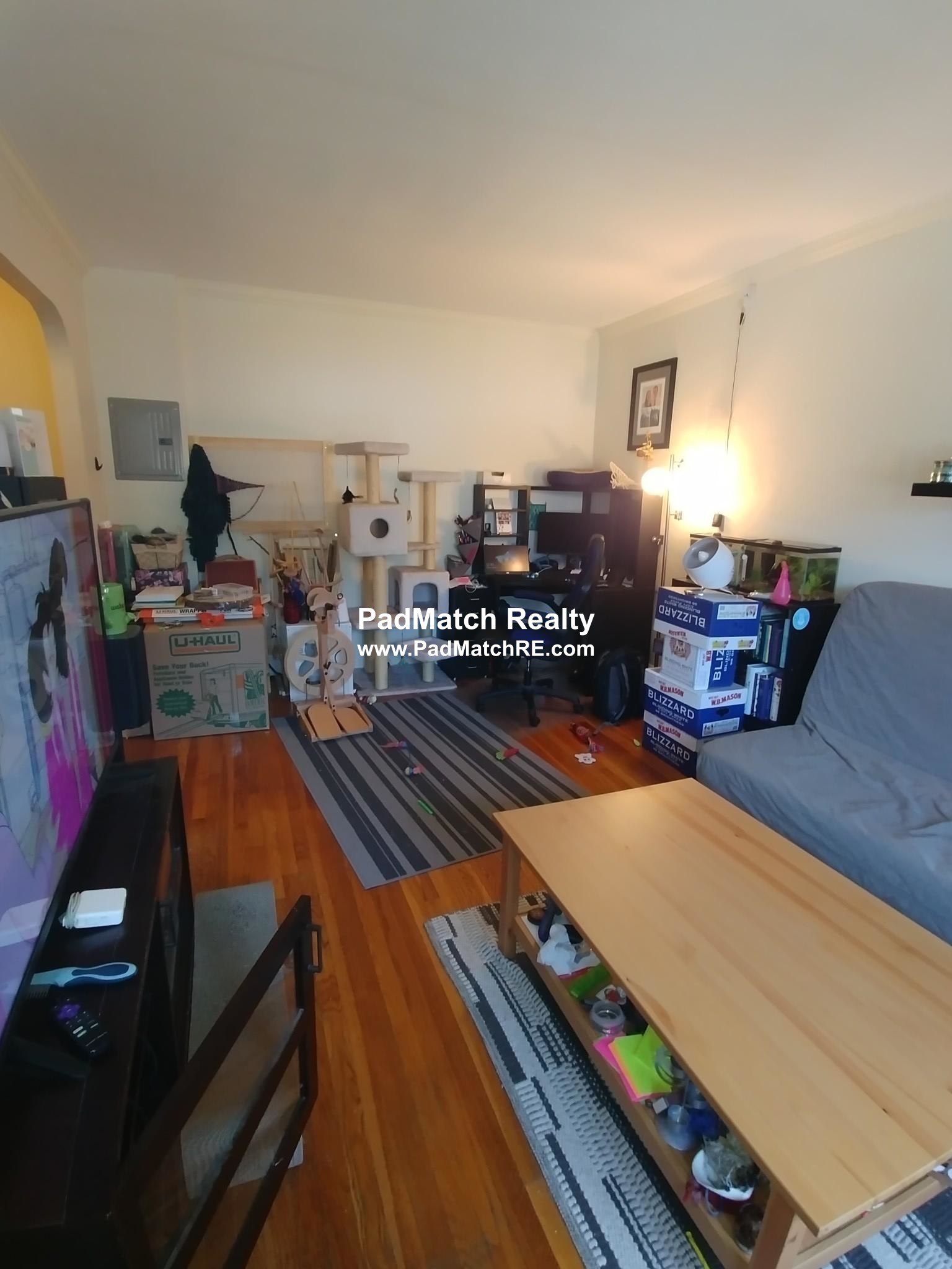 1 bed, 1 bath apartment for rent at 2045 Commonwealth Ave Unit 25, Brighton — photo 2 of 14
