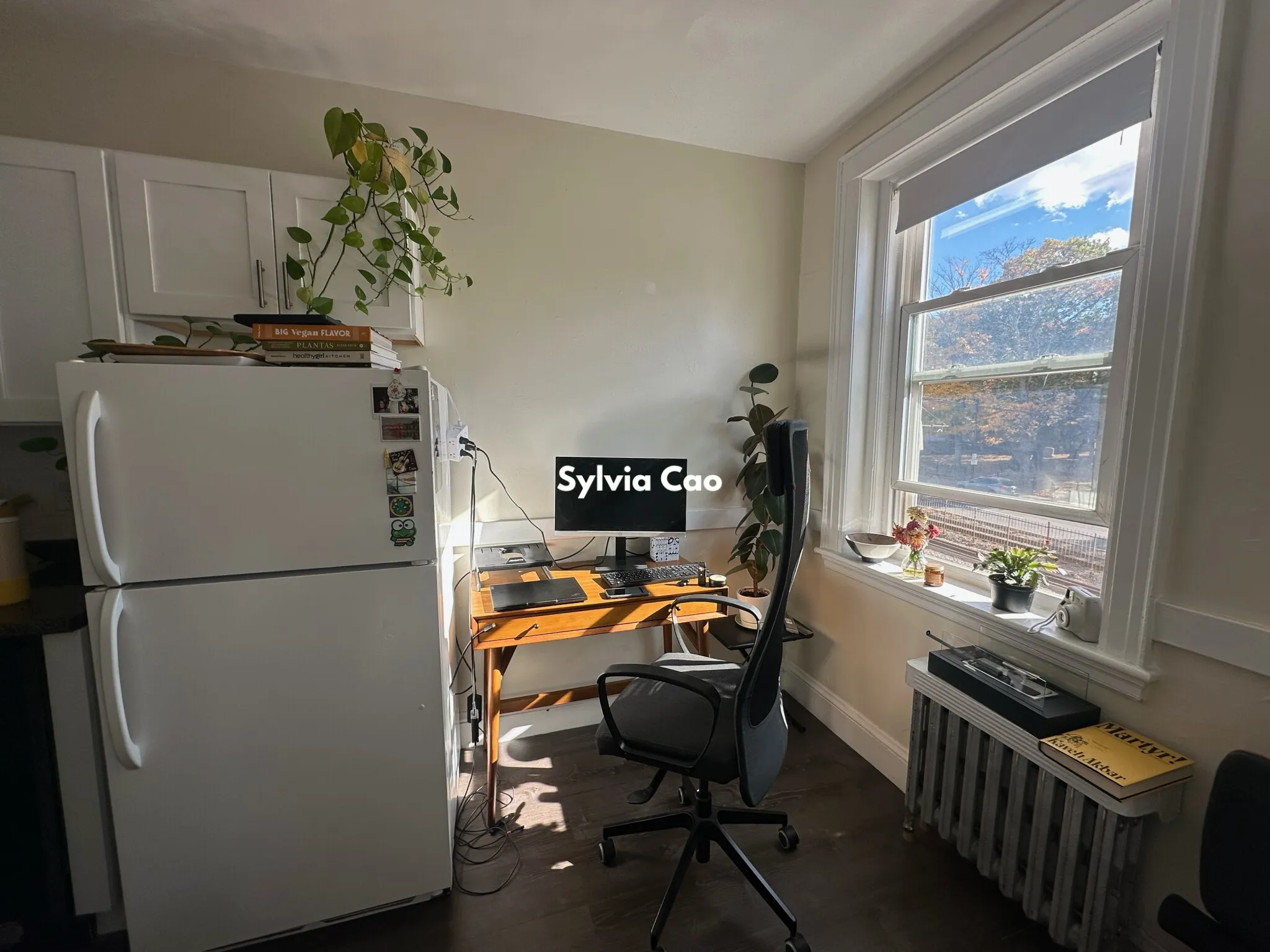 1 bed, 1 bath apartment for rent at 2045 Commonwealth Ave Unit 31-1, Brighton — photo 5 of 18