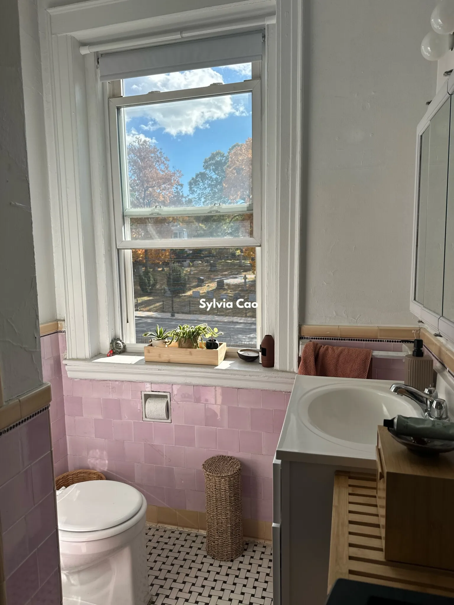 1 bed, 1 bath apartment for rent at 2045 Commonwealth Ave Unit 31-1, Brighton — photo 8 of 18