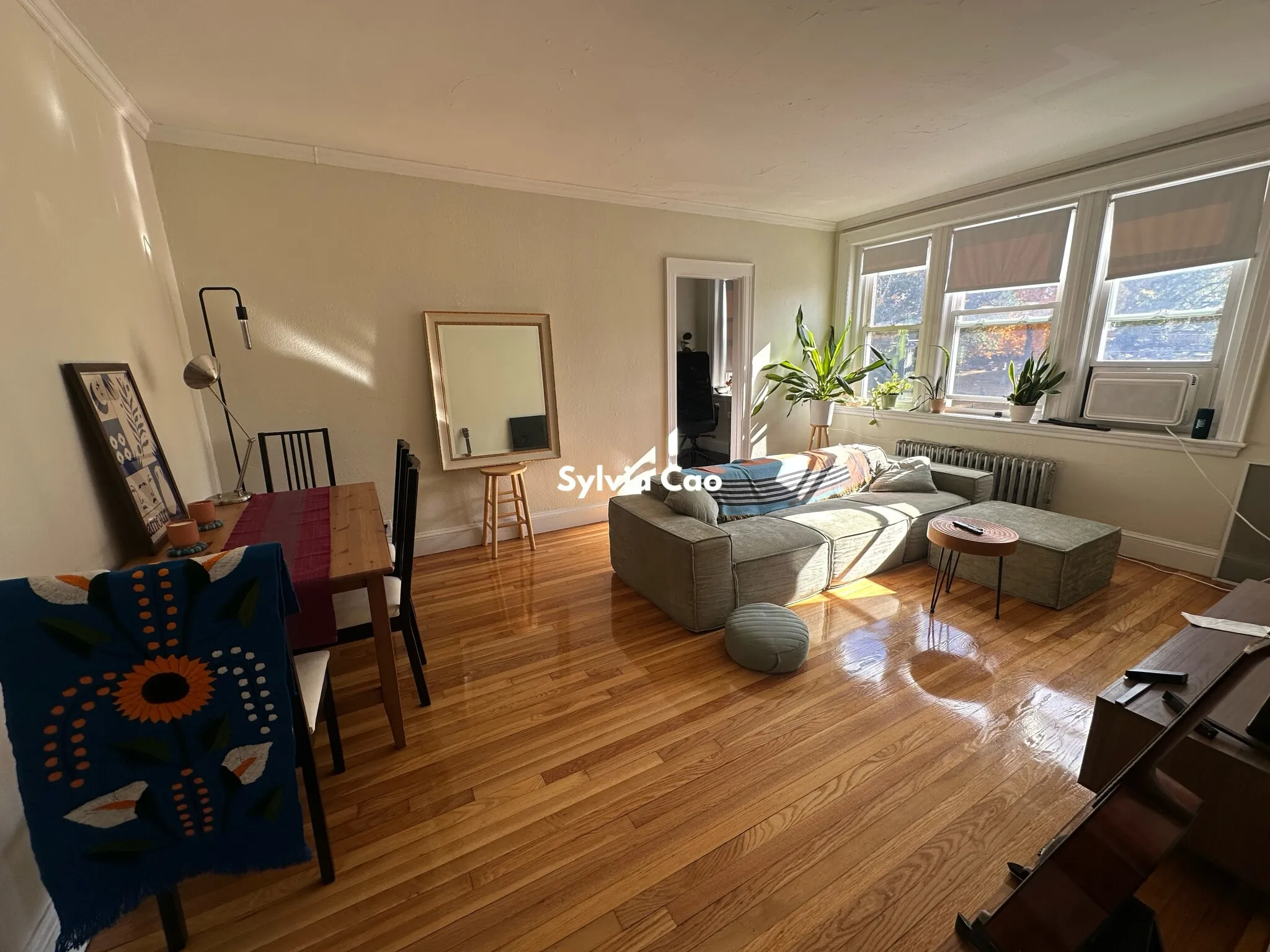 1 bed, 1 bath apartment for rent at 2045 Commonwealth Ave Unit 31-1, Brighton — photo 1 of 18