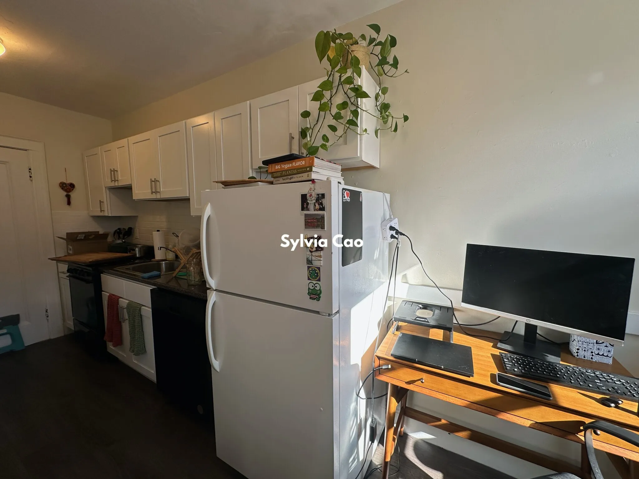 1 bed, 1 bath apartment for rent at 2045 Commonwealth Ave Unit 31-1, Brighton — photo 6 of 18