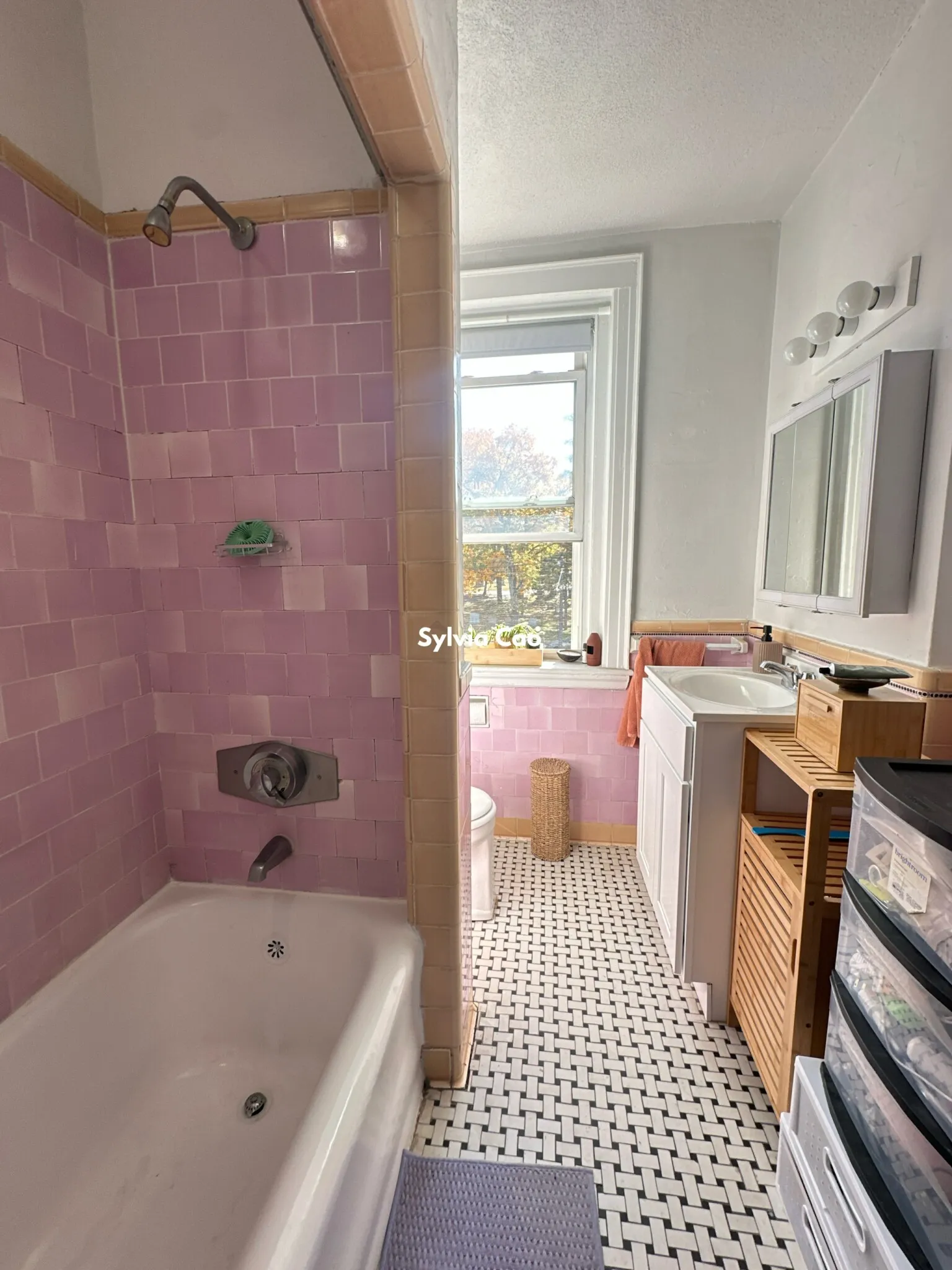 1 bed, 1 bath apartment for rent at 2045 Commonwealth Ave Unit 31-1, Brighton — photo 9 of 18