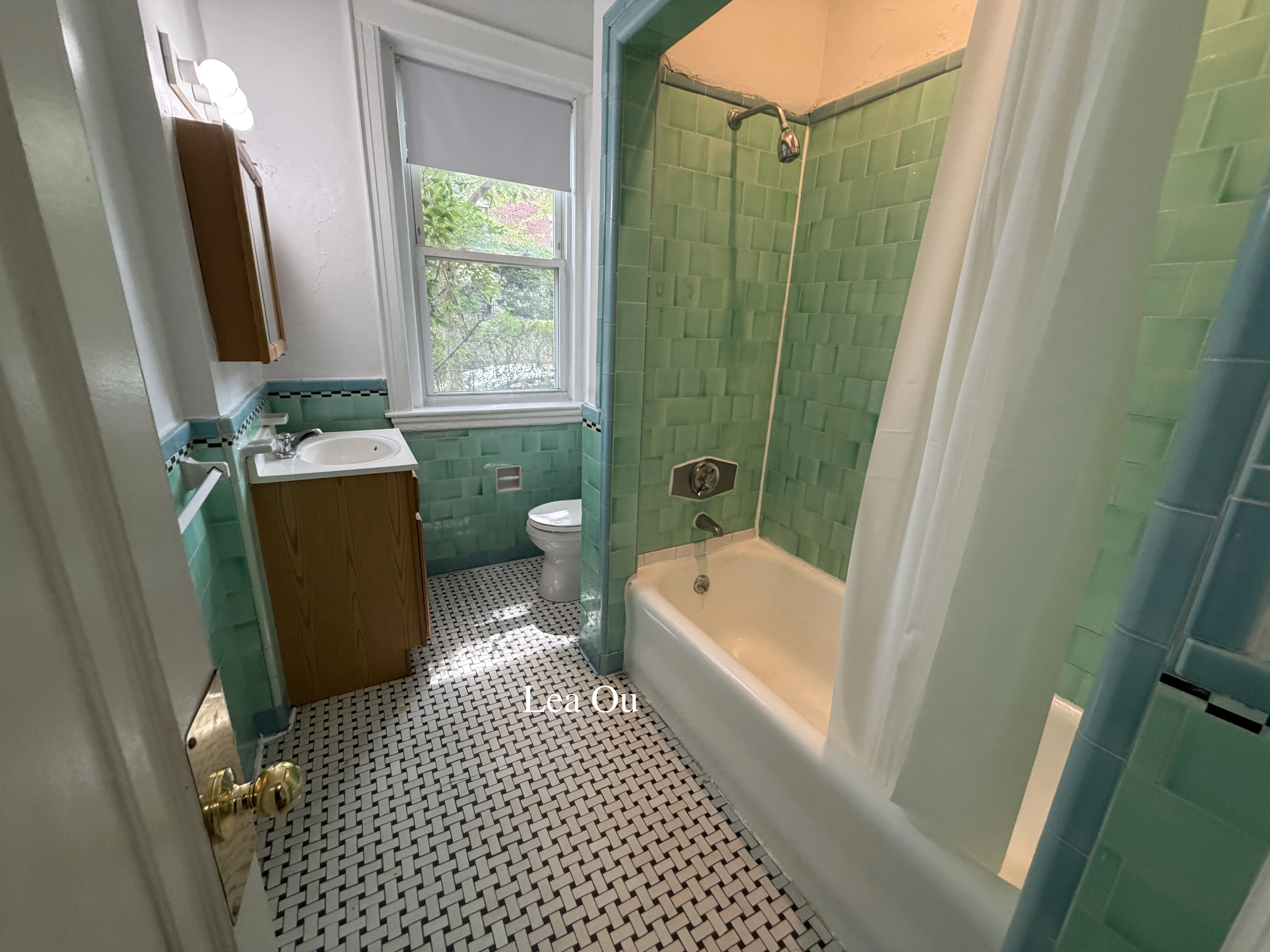 1 bed, 1 bath apartment for rent at 2045 Commonwealth Ave Unit 3A, Brighton — photo 12 of 16