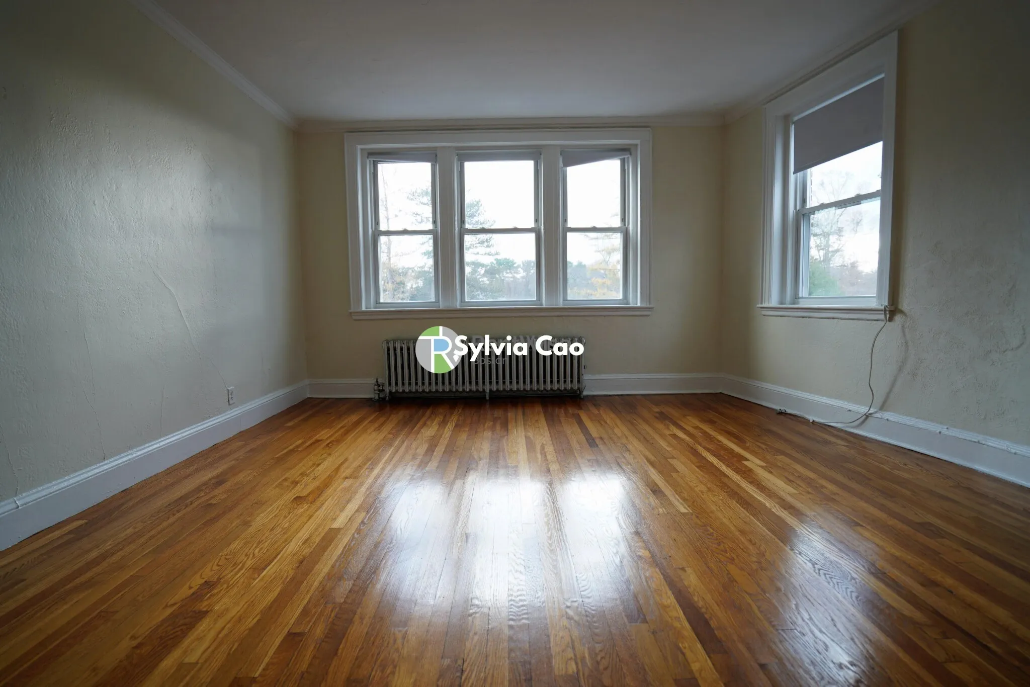 1 bed, 1 bath apartment for rent at 2045 Commonwealth Ave Unit 47, Brighton — photo 2 of 19