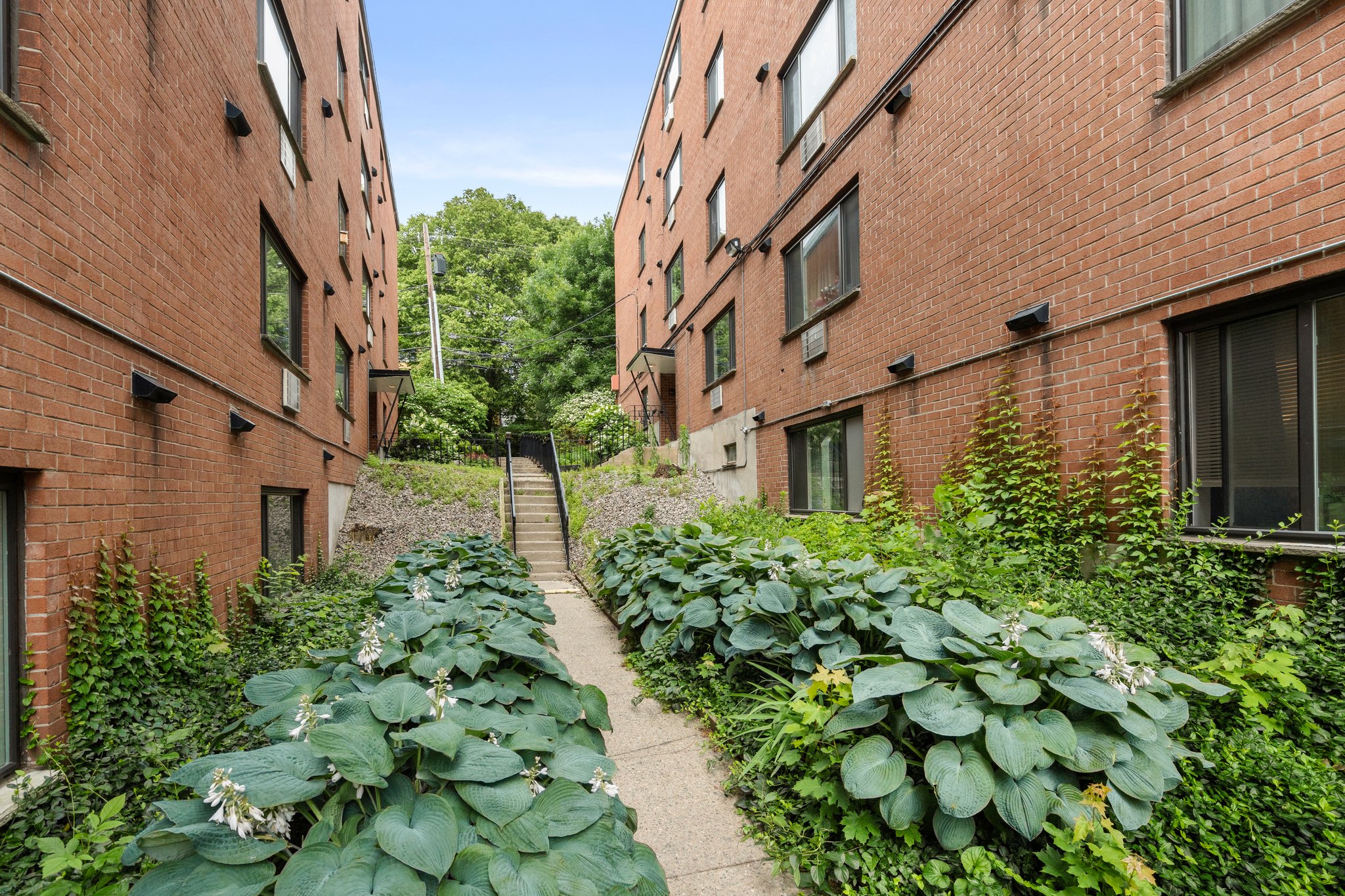 1 bed, 1 bath apartment for rent at 205 Kent St Unit 46, Brookline — photo 13 of 14