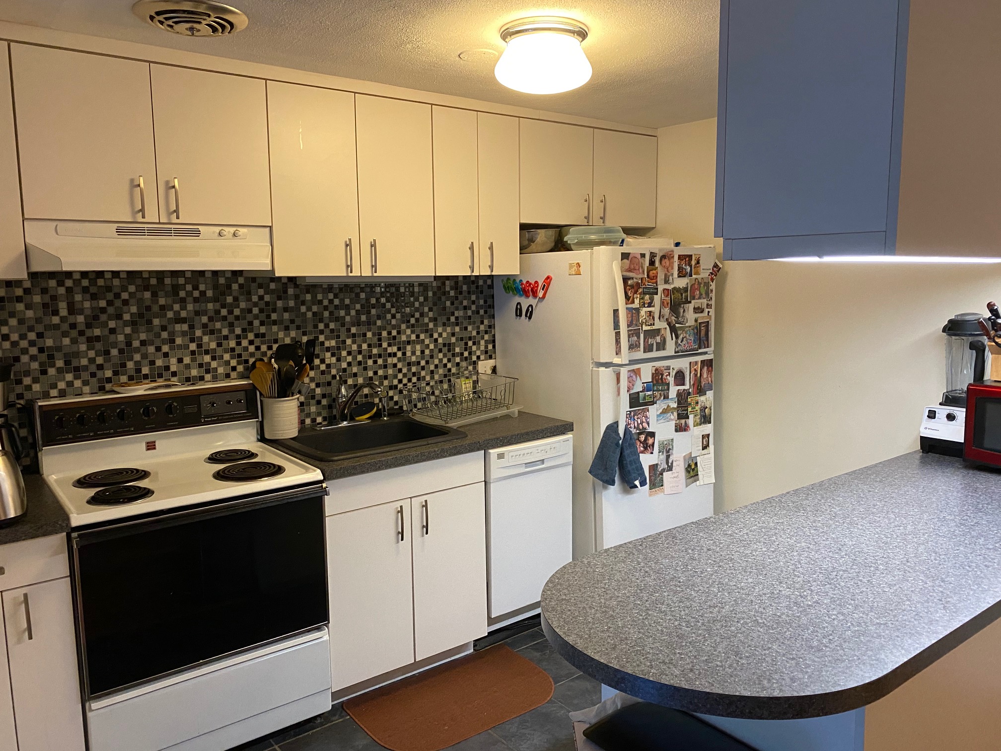 1 bed, 1 bath apartment for rent at 205 Kent St Unit 46, Brookline — photo 4 of 14