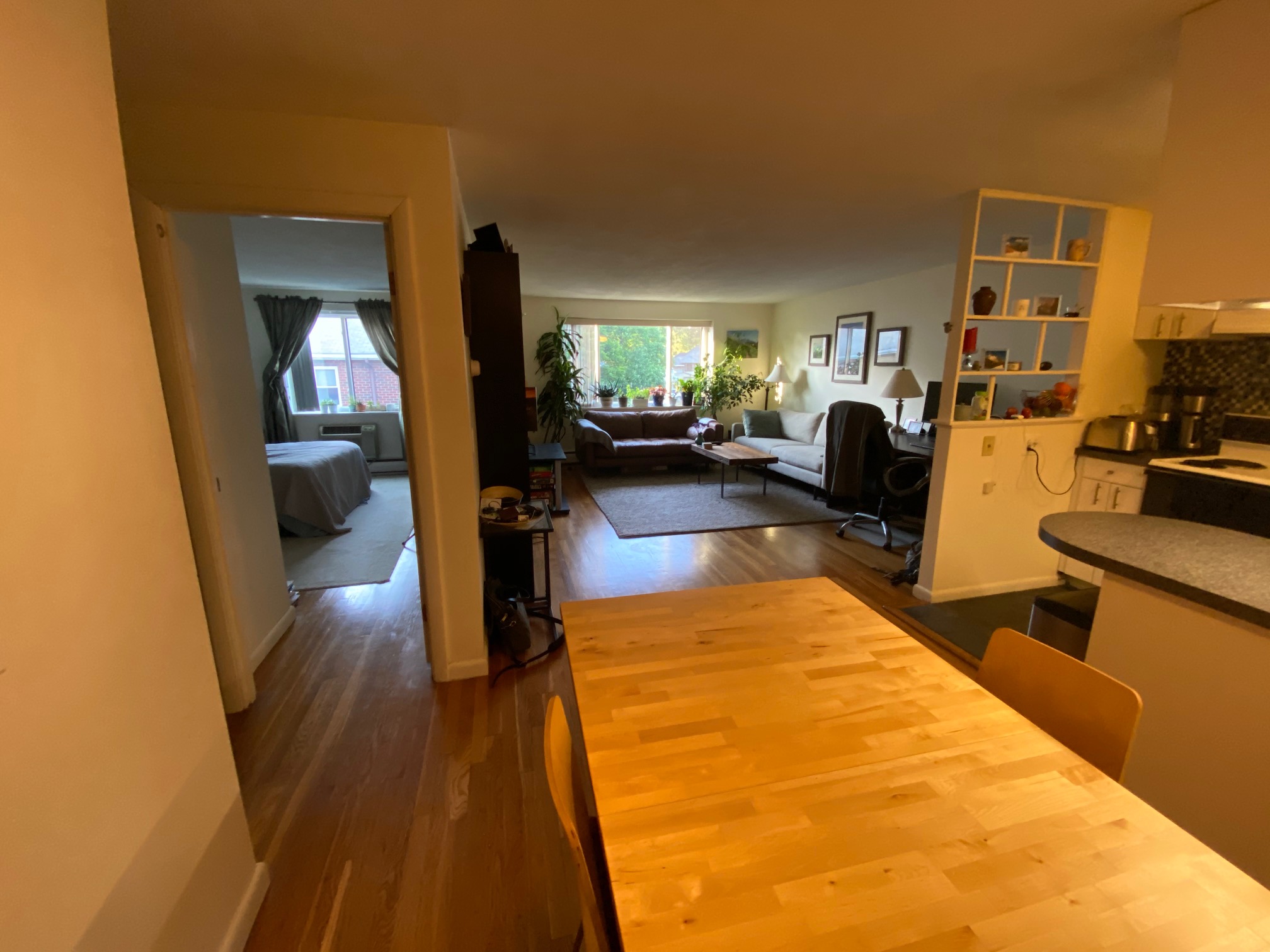 1 bed, 1 bath apartment for rent at 205 Kent St Unit 46, Brookline — photo 5 of 14
