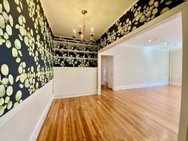 3 bed, 1 bath apartment for rent at 205 Mt Auburn St Unit 1D, West Cambridge — photo 5 of 20