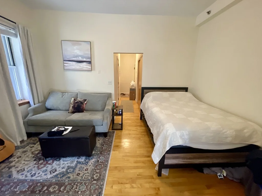 Studio bed, 2 bath apartment for rent at 206 Chestnut Hill Ave Unit 4, Brighton — photo 1 of 6