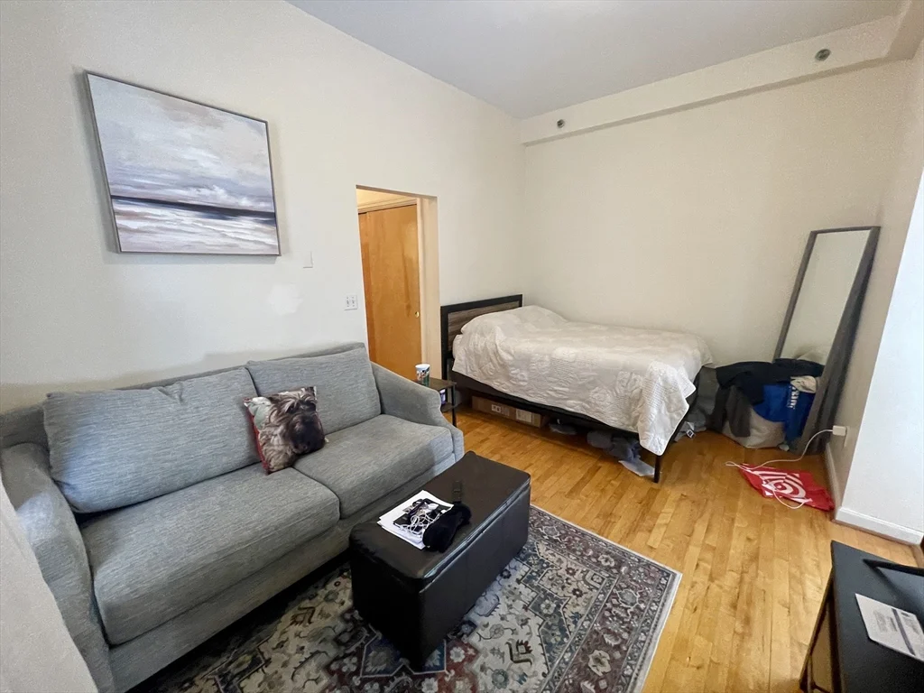 Studio bed, 2 bath apartment for rent at 206 Chestnut Hill Ave Unit 4, Brighton — photo 3 of 6