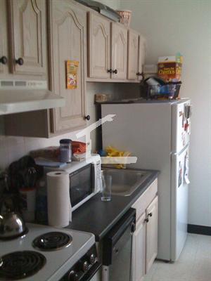1 bed, 1 bath apartment for rent at 206 Chestnut Hill Ave Unit 5., Brighton — photo 16 of 20
