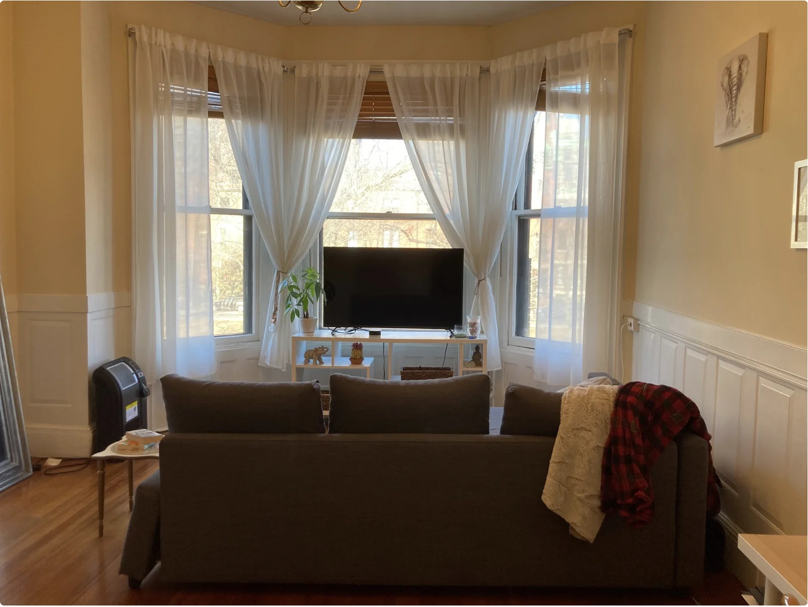 1 bed, 1 bath apartment for rent at 206 Commonwealth Ave Unit 5, Back Bay