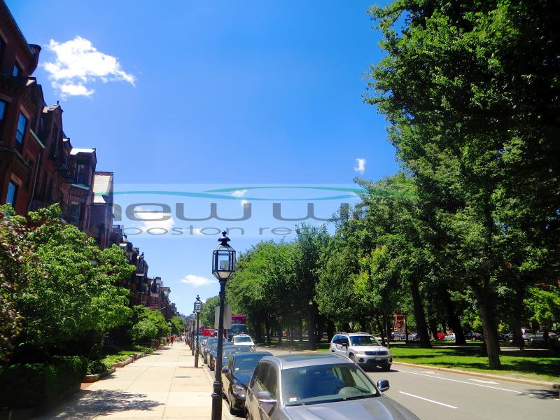 1 bed, 1 bath apartment for rent at 206 Commonwealth Ave Unit 8, Back Bay — photo 17 of 17