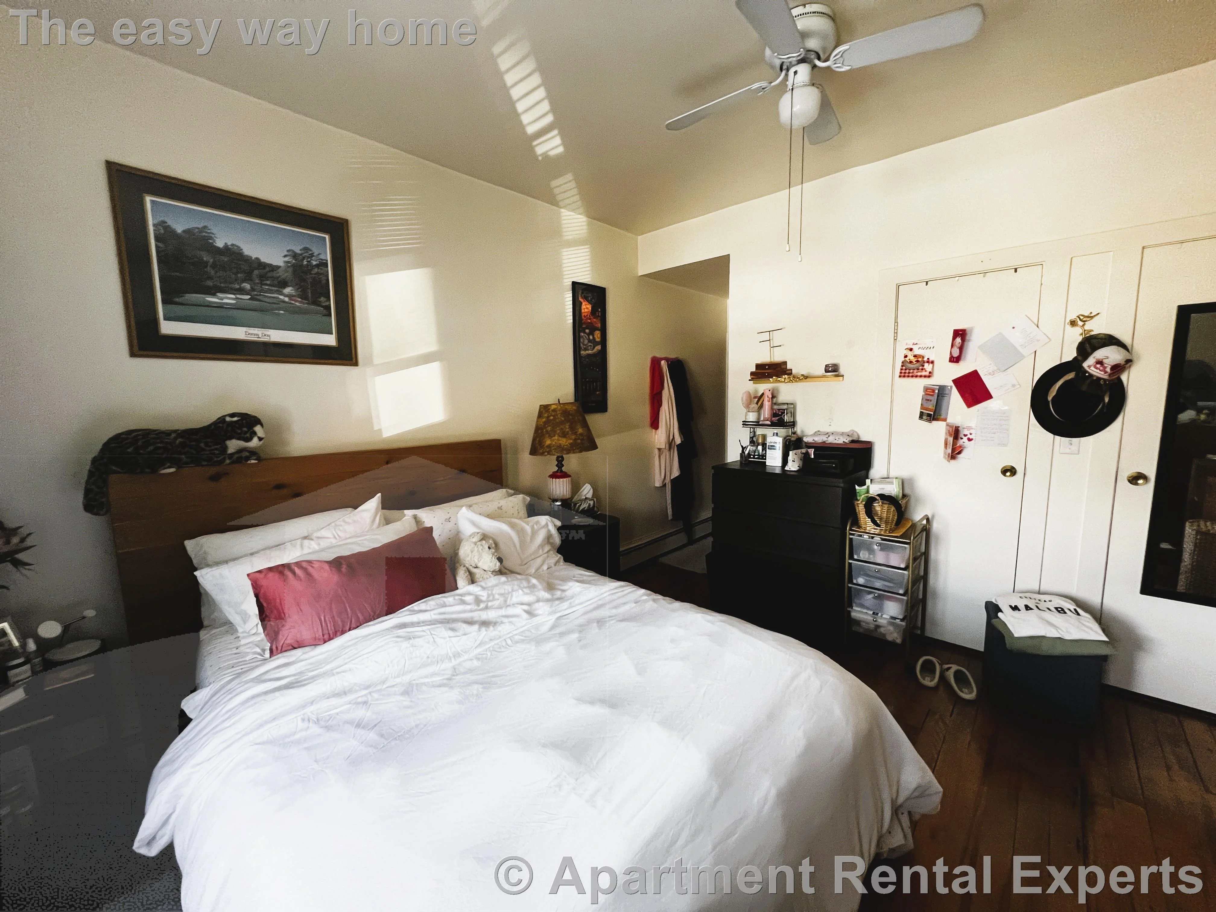 1 bed, 1 bath apartment for rent at 206 Massachusetts Ave Unit 2, East Arlington — photo 6 of 8