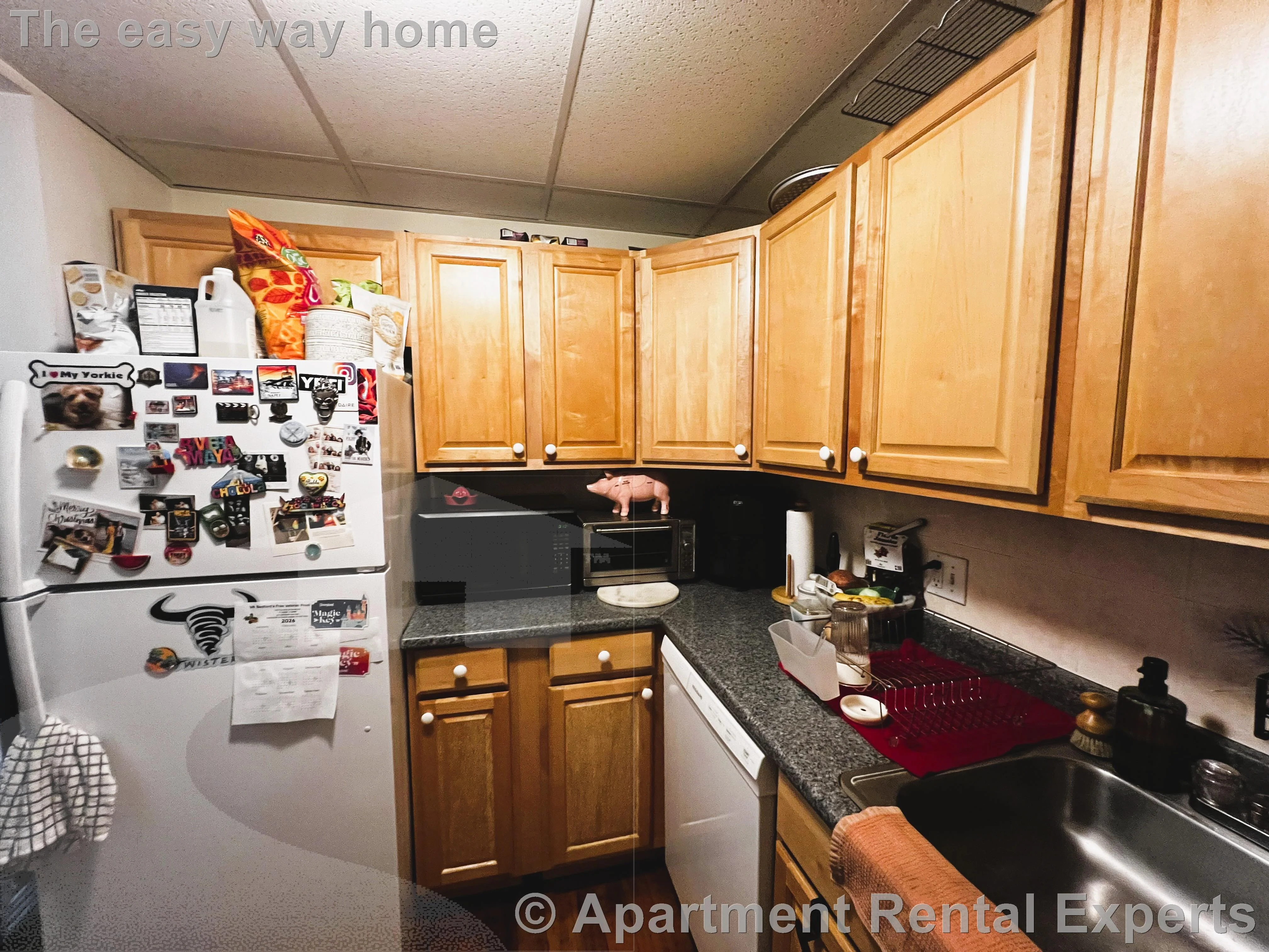 1 bed, 1 bath apartment for rent at 206 Massachusetts Ave Unit 2, East Arlington — photo 4 of 8