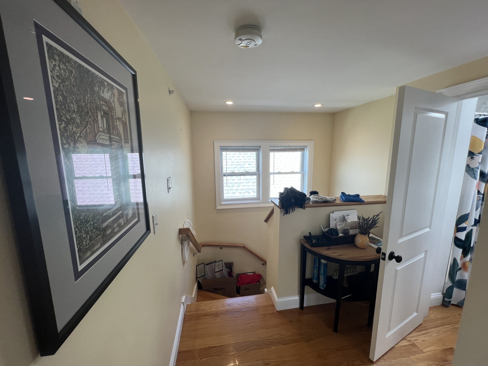 1 bed, 1 bath apartment for rent at 206 Summer St Unit 3, Spring Hill — photo 19 of 26
