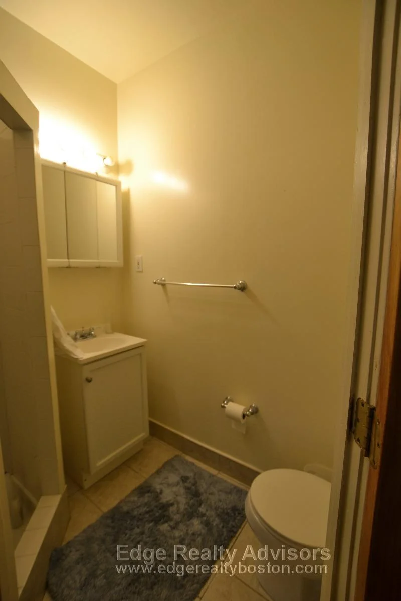 4 bed, 2 bath apartment for rent at 207 Chestnut Hill Ave Unit 2, Brighton — photo 5 of 13