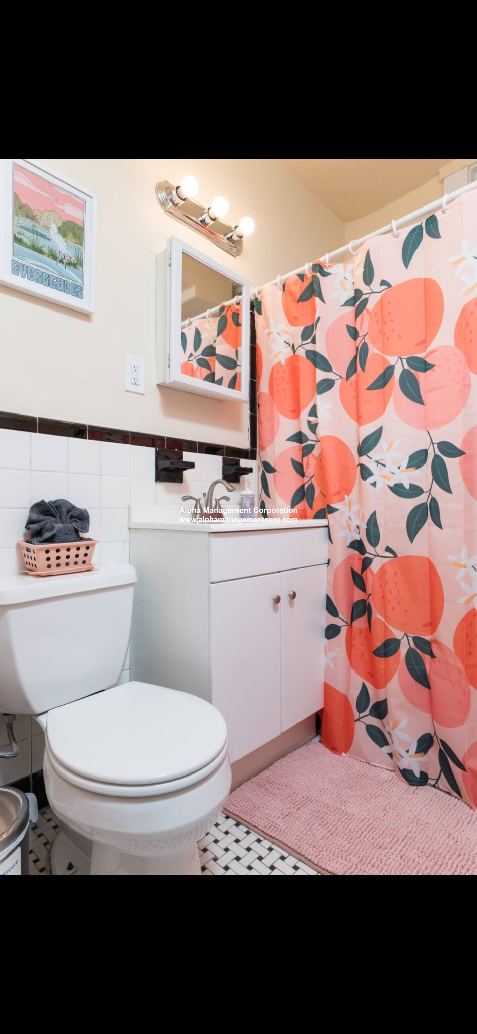 3 bed, 1 bath apartment for rent at 208 Winthrop Rd Unit B1, Aspinwall Hill — photo 6 of 10