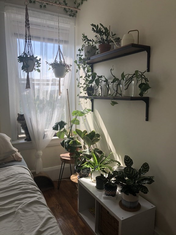 1 bed, 1 bath apartment for rent at 208A Washington St Unit 6, Prospect Hill — photo 5 of 16