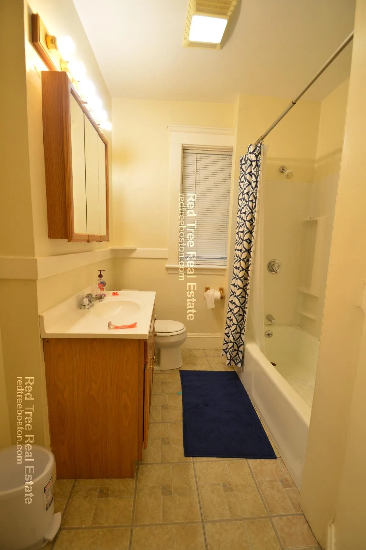 4 bed, 2 bath apartment for rent at 209 Chestnut Hill Ave Unit 2, Brighton — photo 25 of 29