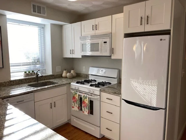 1 bed, 1 bath apartment for rent at 209 Commonwealth Ave Unit 1, Chestnut Hill — photo 5 of 13